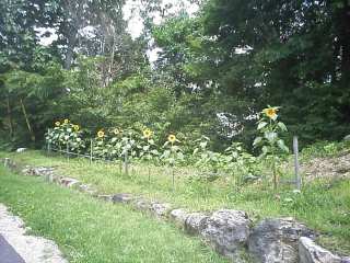 0808_1.jpg 0808_1.jpg