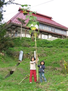 081012.jpg 081012.jpg