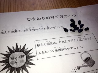 2012himawari1.jpg 2012himawari1.jpg