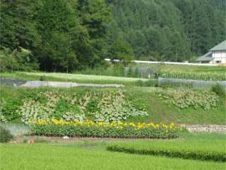 motonoseki_01.jpg motonoseki_01.jpg