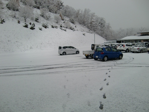 初雪Wiki用.jpg