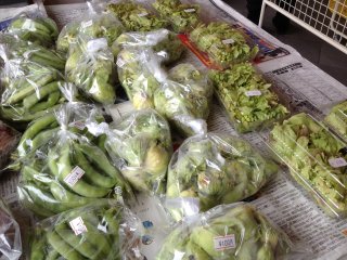 20120401_5.jpg 20120401_5.jpg