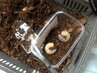 20130421_08.jpg 20130421_08.jpg