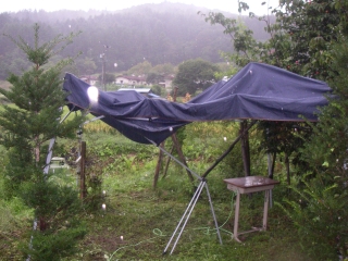 110904_c5.jpg 110904_c5.jpg